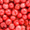 pimenta rosa sache 25g Saboratto essências - Image 4